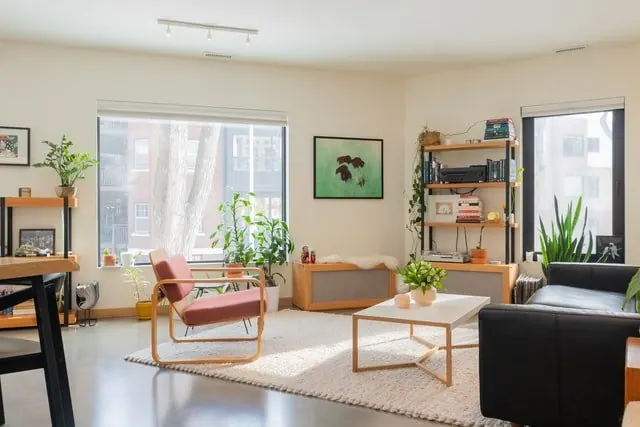 A bright living room with indoor plants, open shelving and mixed seating.