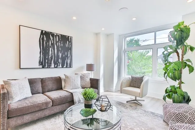 A bright living room with a grey sofa, glass coffee table and tall plants.